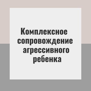 Комплексное    сопровождение   агрессивного  ребенка​